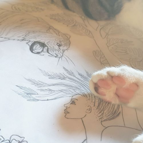 6